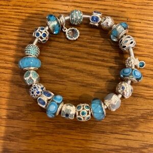 Pandora bracelet with 20 Pandora charms. Absolutely stunning.